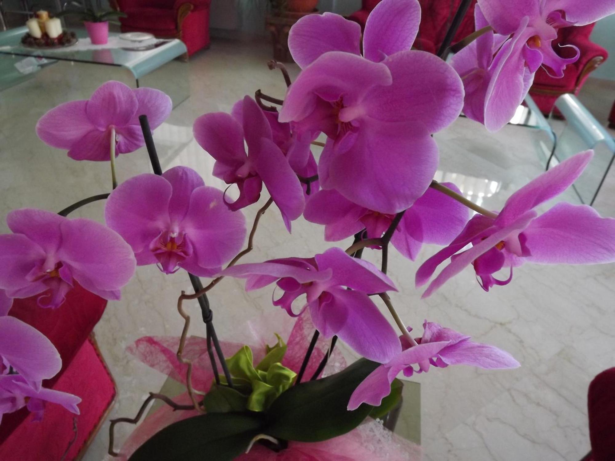 Hotel Cristina Chianciano Terme Room photo